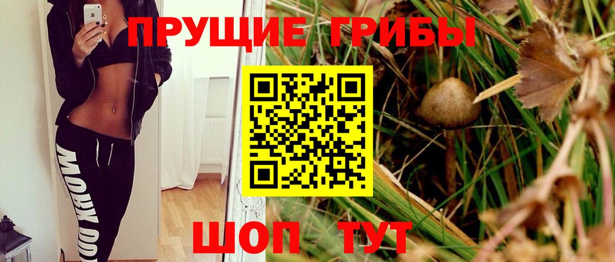 Псилоцибиновые грибы Magic Shrooms  Вход с VPN  Красноперекопск 