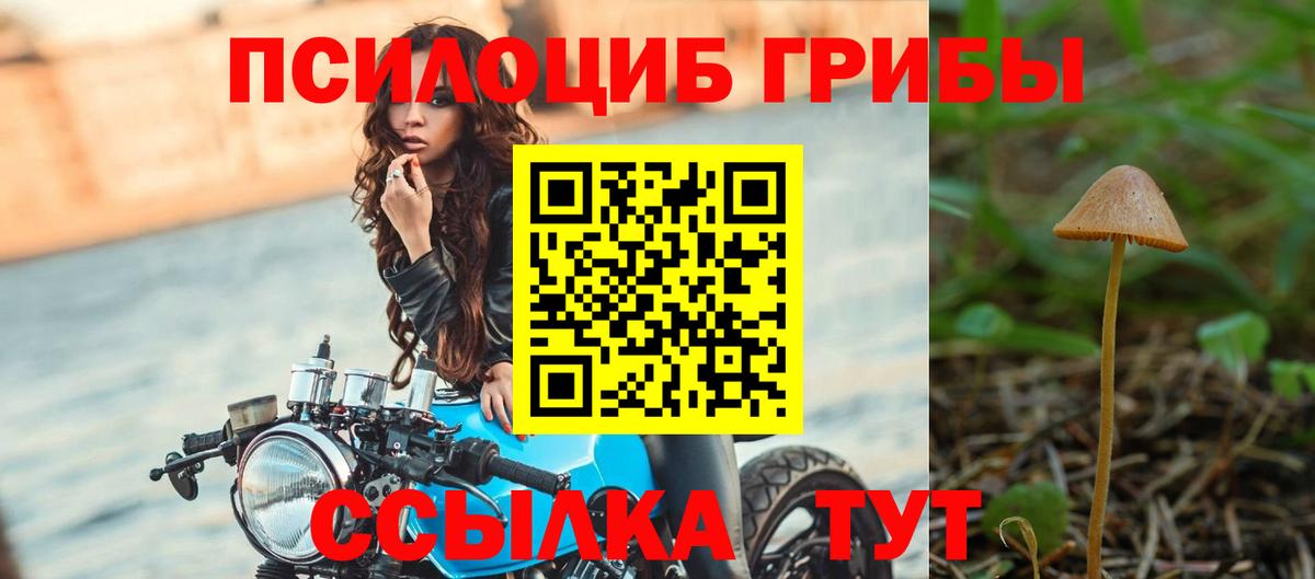 Псилоцибиновые грибы прущие грибы Красноперекопск